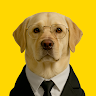 Foto del perfil de Golden Savings
