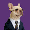 Foto del perfil de Chunmei Zhang